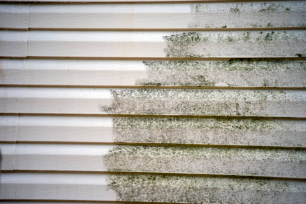 Affordable siding repair and maintenance services in Cheverly, MD